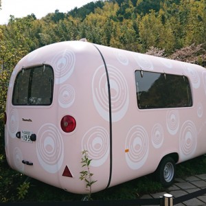 その他 ラコリーナ 車にカッティングシート